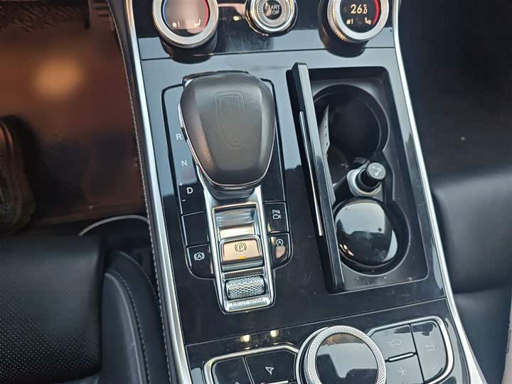 Фото 7 - Hongqi H9