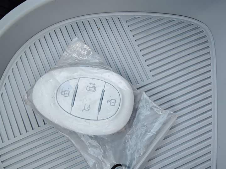 Фото 9 - BAIC Arcfox Kaola S