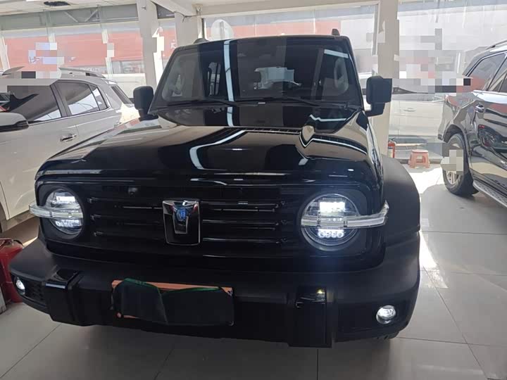 Фото 3 - Tank 300