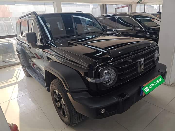 Фото 4 - Tank 300