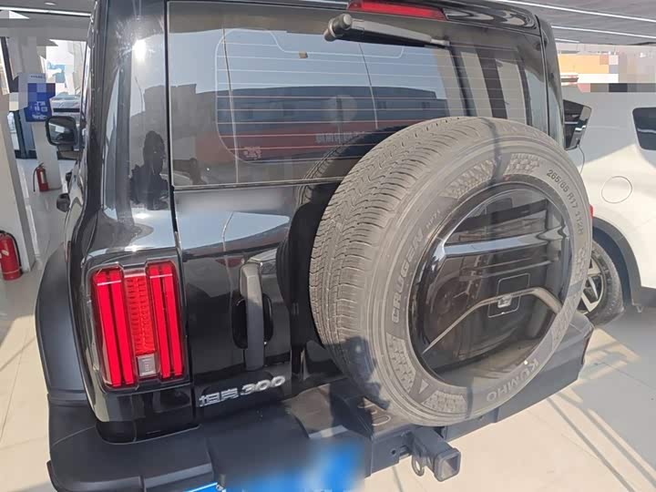 Фото 6 - Tank 300