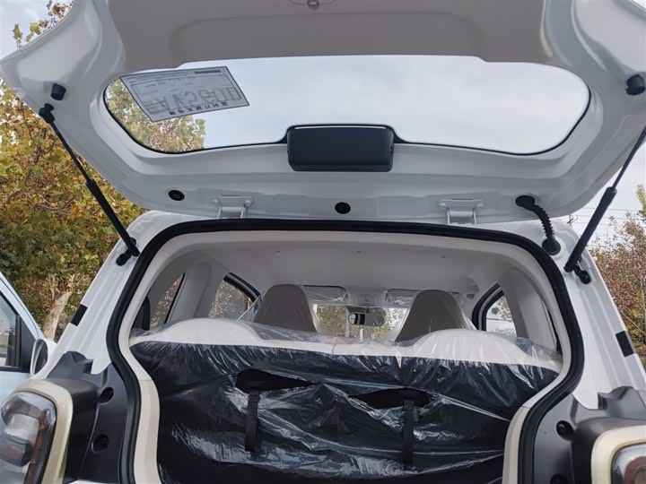 Фото 9 - Bestune Pony