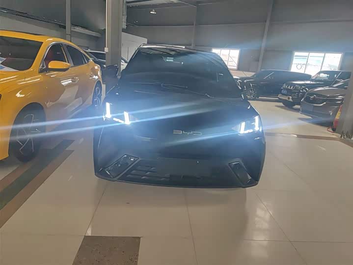 Фото 3 - BYD Seagull