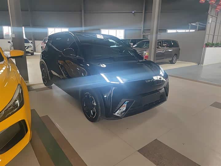 Фото 4 - BYD Seagull