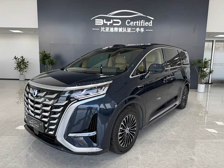 Фото 1 - Denza D9