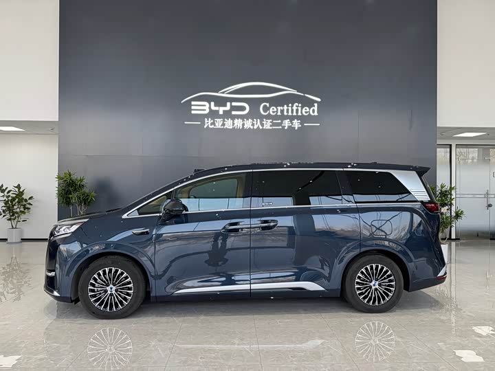 Фото 3 - Denza D9