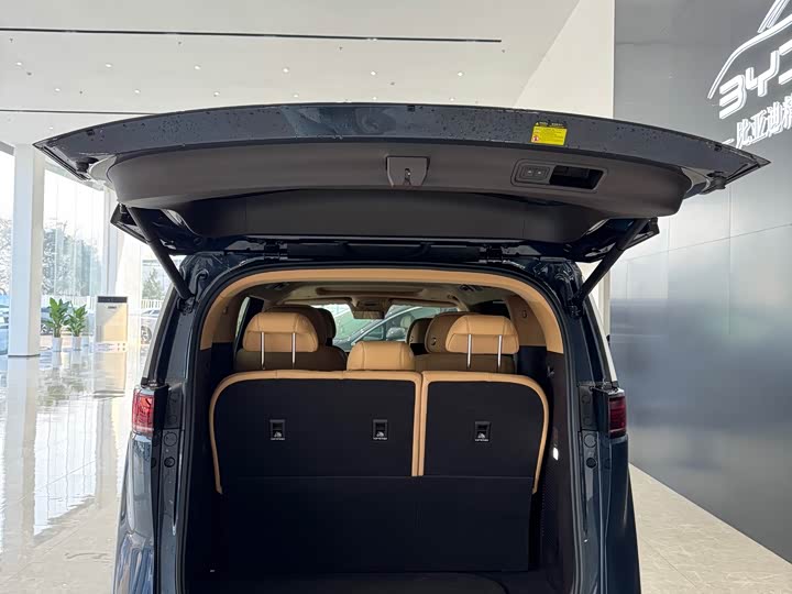 Фото 9 - Denza D9