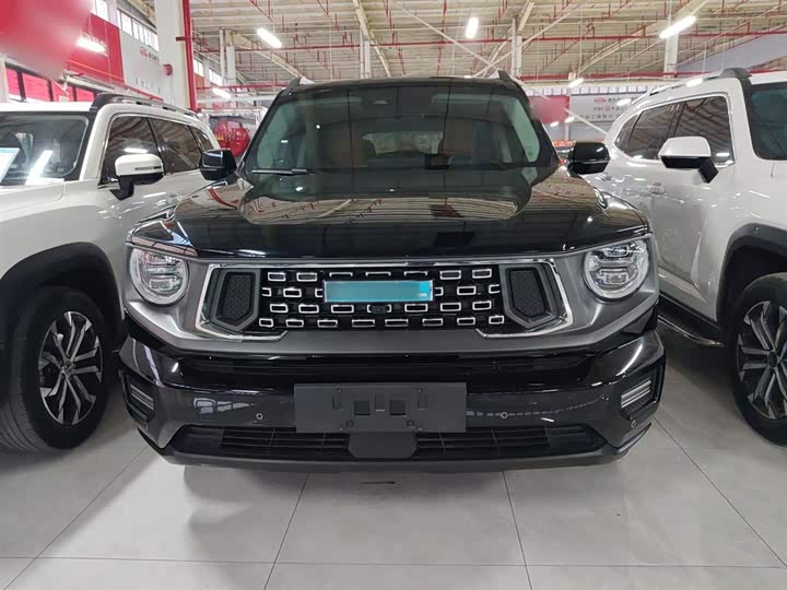 Фото 3 - Haval H-Dog Hybrid