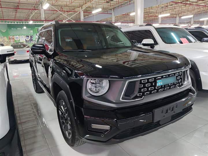 Фото 4 - Haval H-Dog Hybrid