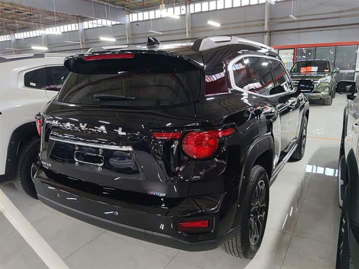 Фото 7 - Haval H-Dog Hybrid