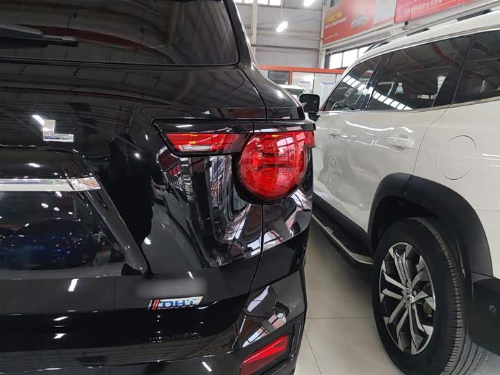 Фото 8 - Haval H-Dog Hybrid