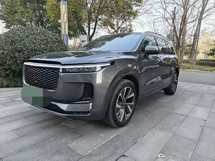 Фото 1 - LiXiang One