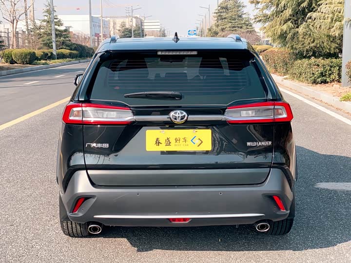 Фото 6 - Toyota Wildlander