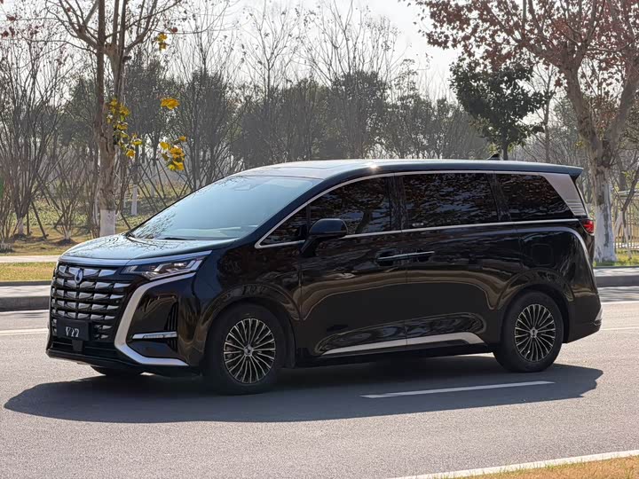 Фото 1 - Denza D9