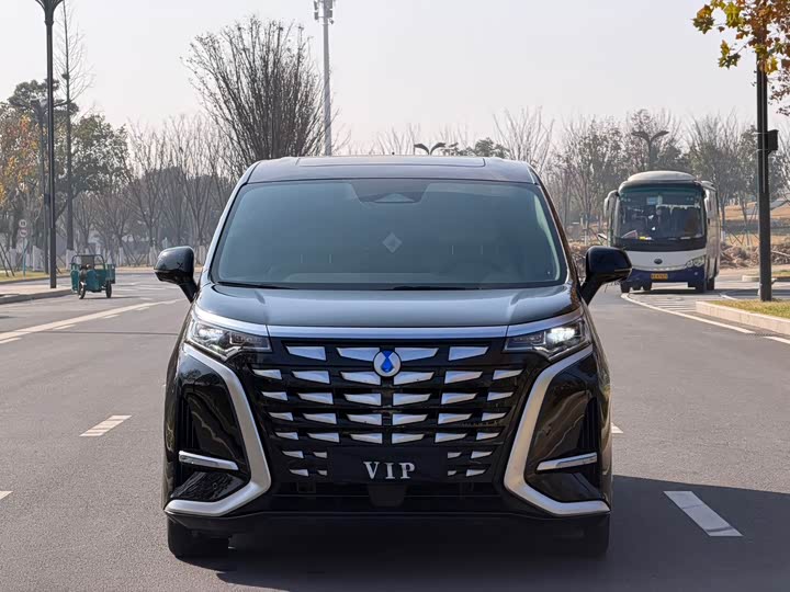 Фото 2 - Denza D9