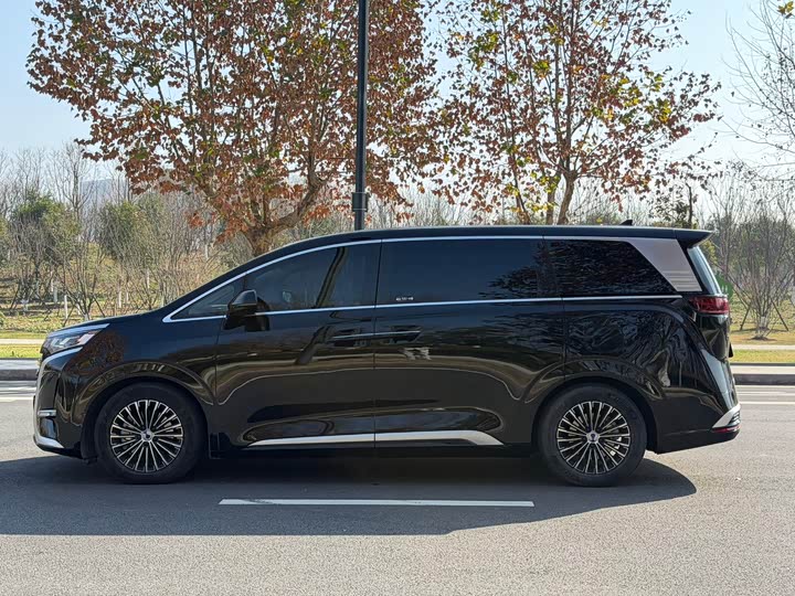 Фото 4 - Denza D9