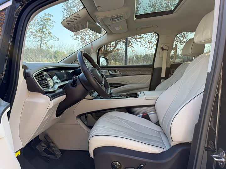 Фото 6 - Denza D9