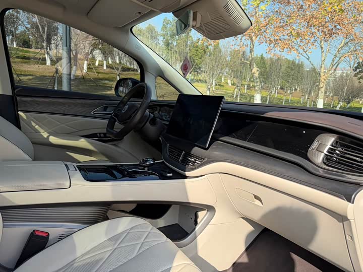 Фото 9 - Denza D9