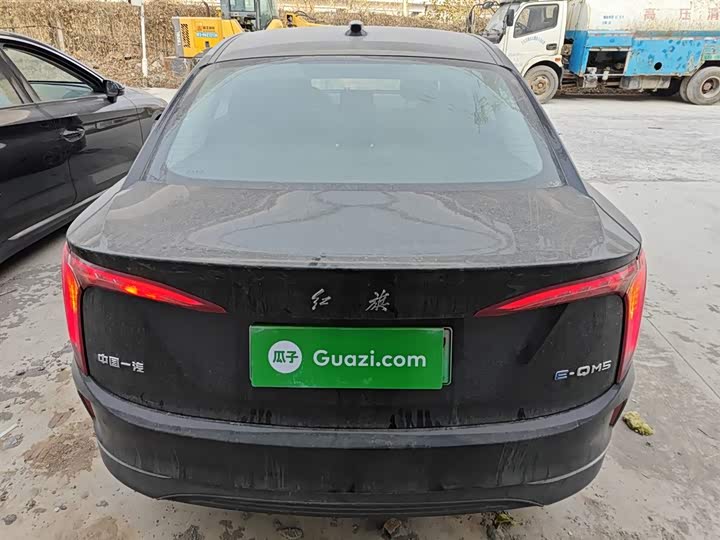 Фото 6 - Hongqi E-QM5