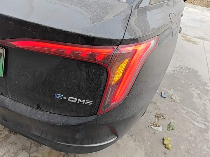 Фото 8 - Hongqi E-QM5