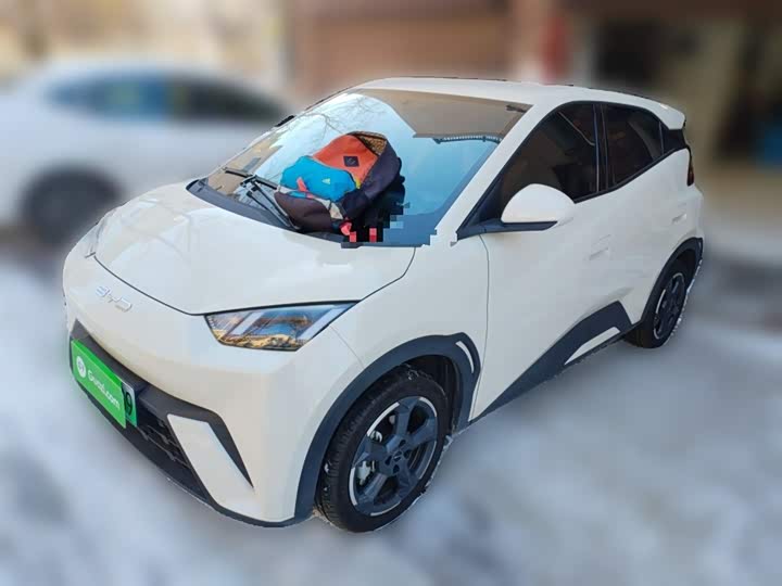 Фото 2 - BYD Seagull