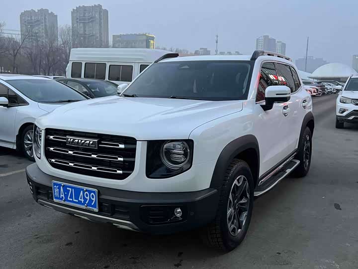Фото 1 - Haval Dargo