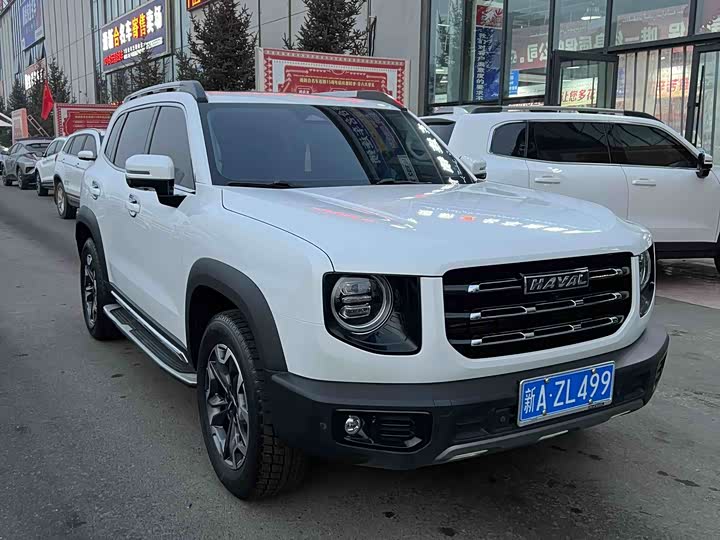 Фото 3 - Haval Dargo