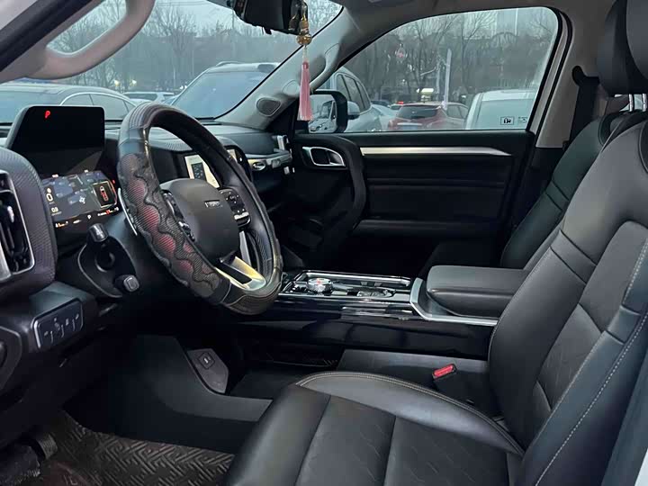 Фото 4 - Haval Dargo