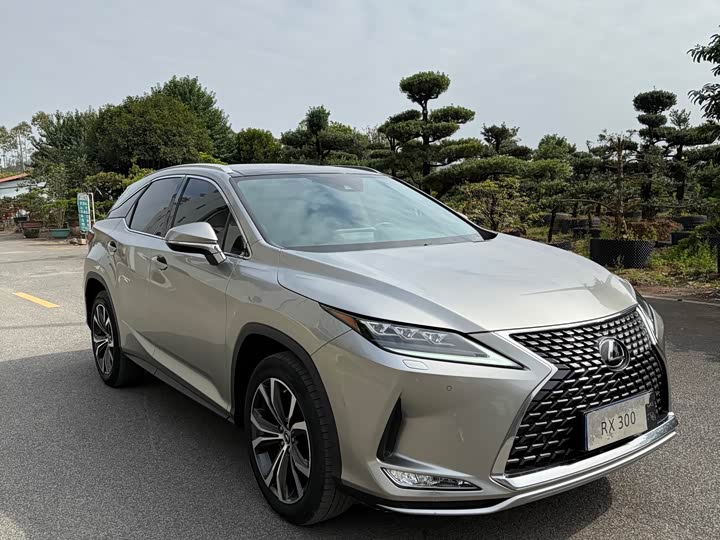 Фото 1 - Lexus RX