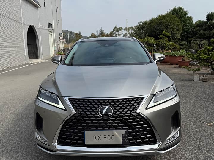 Фото 2 - Lexus RX