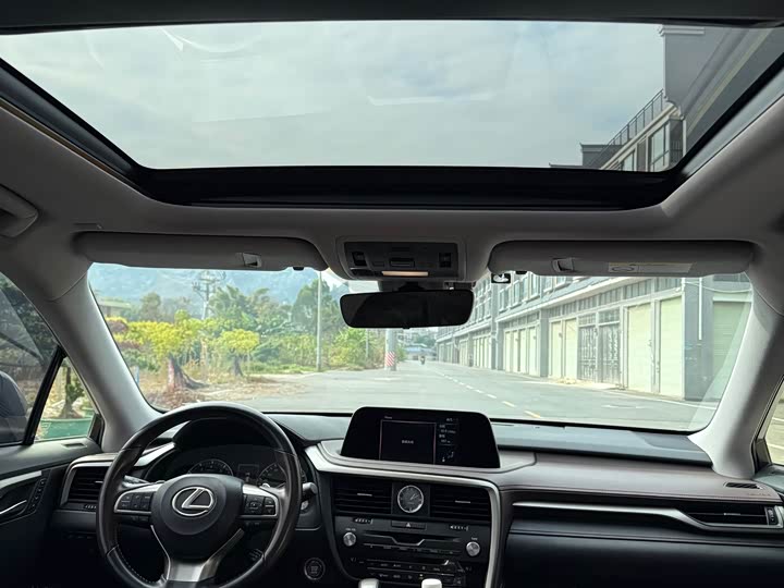 Фото 6 - Lexus RX