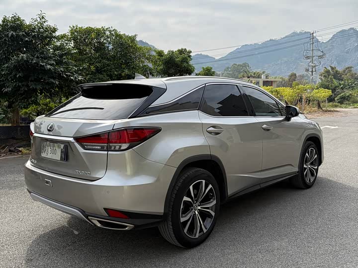 Фото 9 - Lexus RX