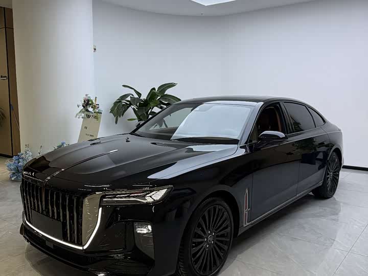 Фото 3 - Hongqi H9