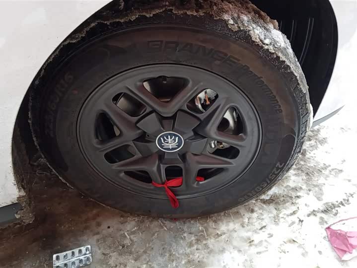 Фото 6 - BYD Qin Plus