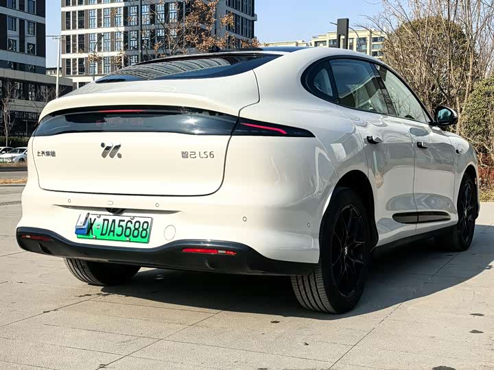 Фото 4 - IM motors LS6