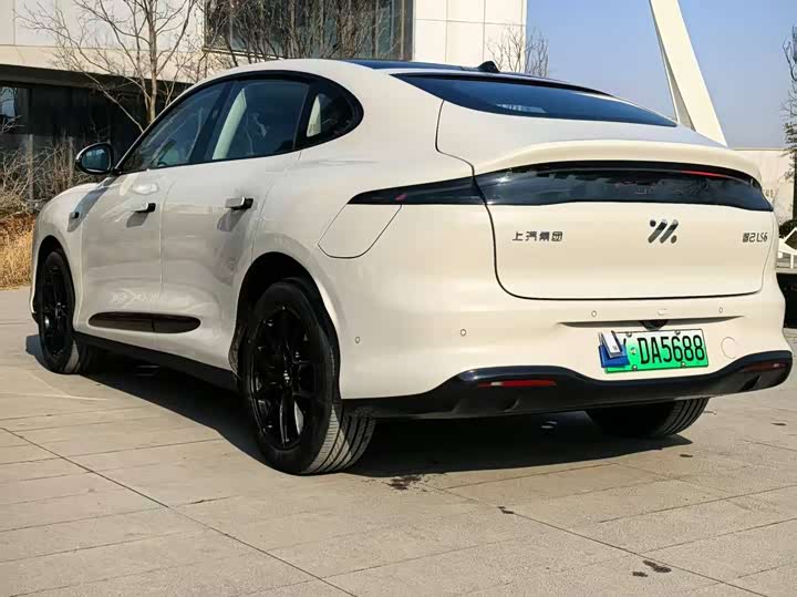 Фото 5 - IM motors LS6