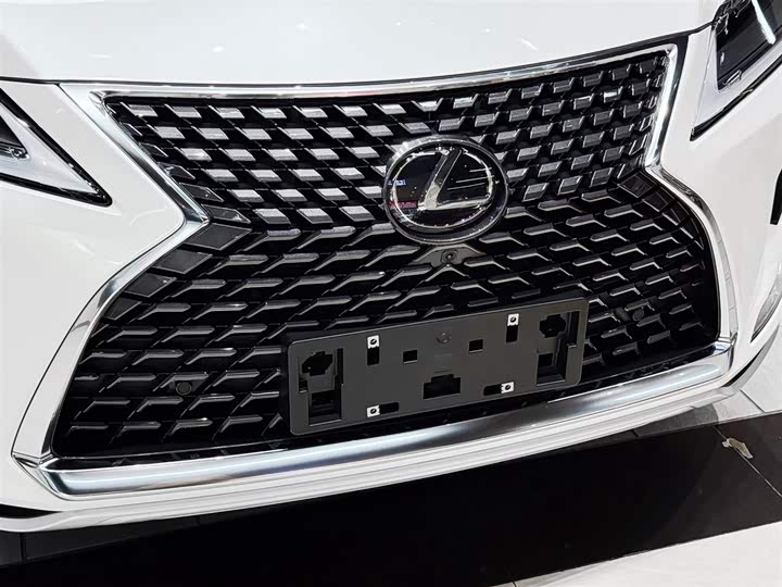 Фото 6 - Lexus RX