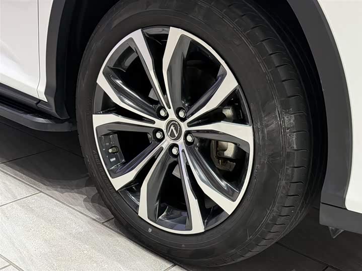 Фото 7 - Lexus RX