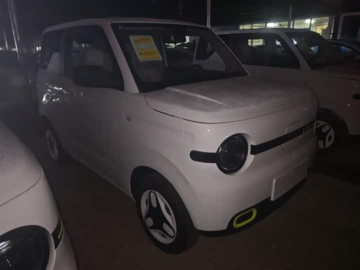 Фото 4 - Geely Galaxy Panda Mini