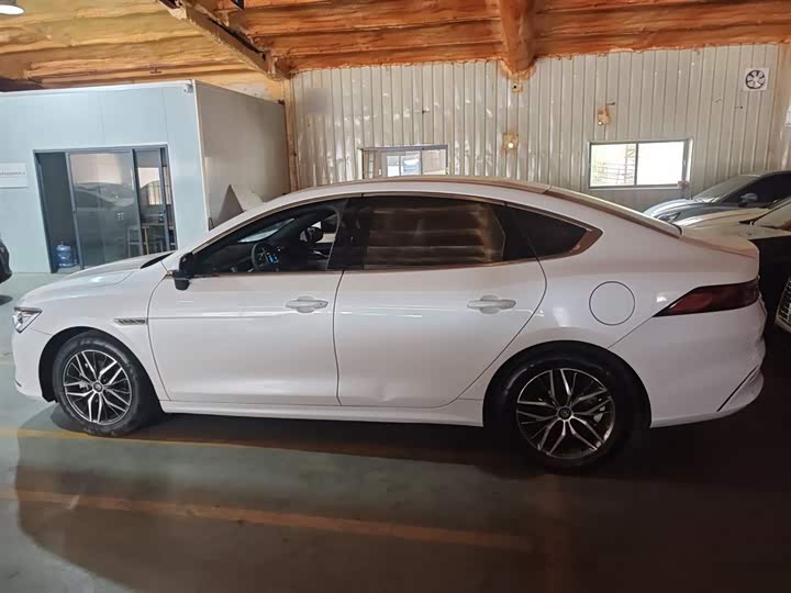 Фото 5 - BYD Qin Plus