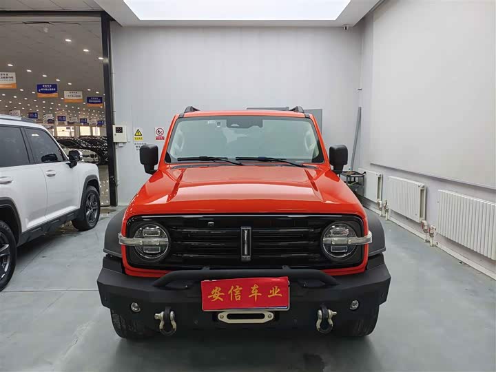 Фото 2 - Tank 300