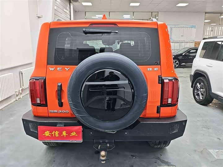 Фото 5 - Tank 300