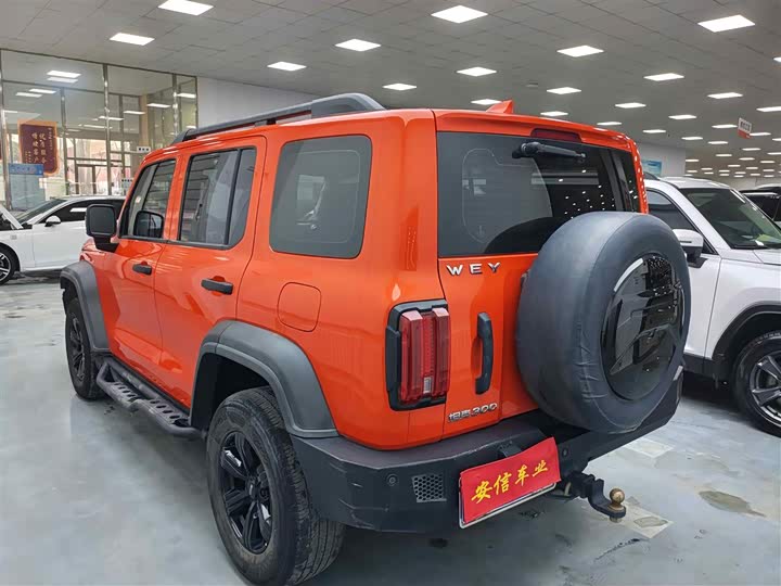 Фото 6 - Tank 300