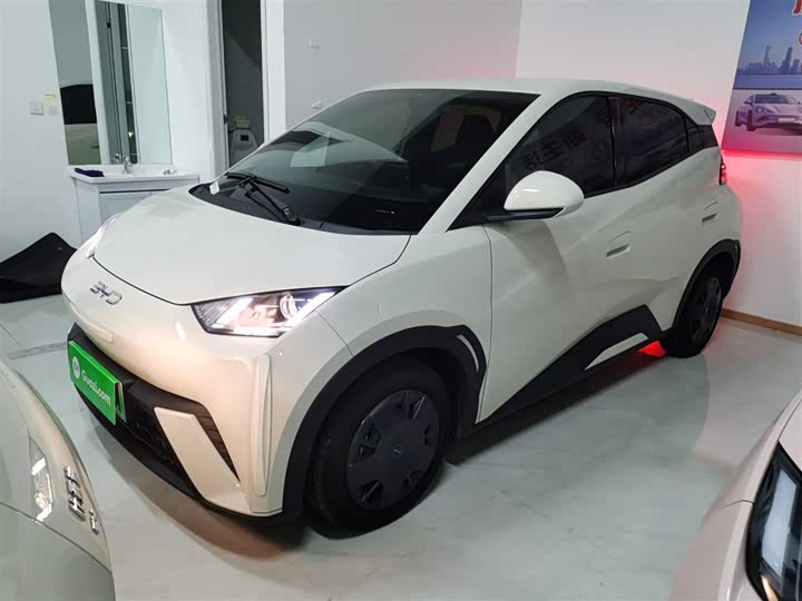 Фото 2 - BYD Seagull