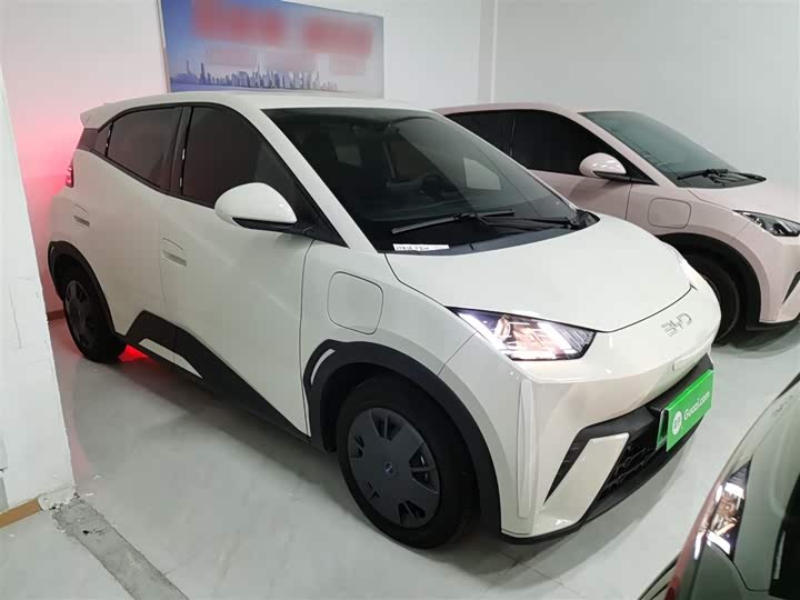 Фото 4 - BYD Seagull