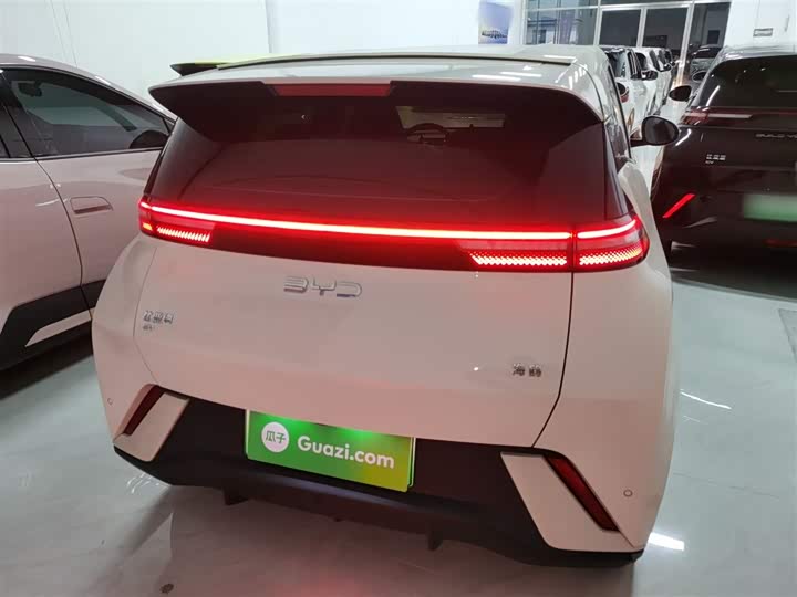 Фото 6 - BYD Seagull