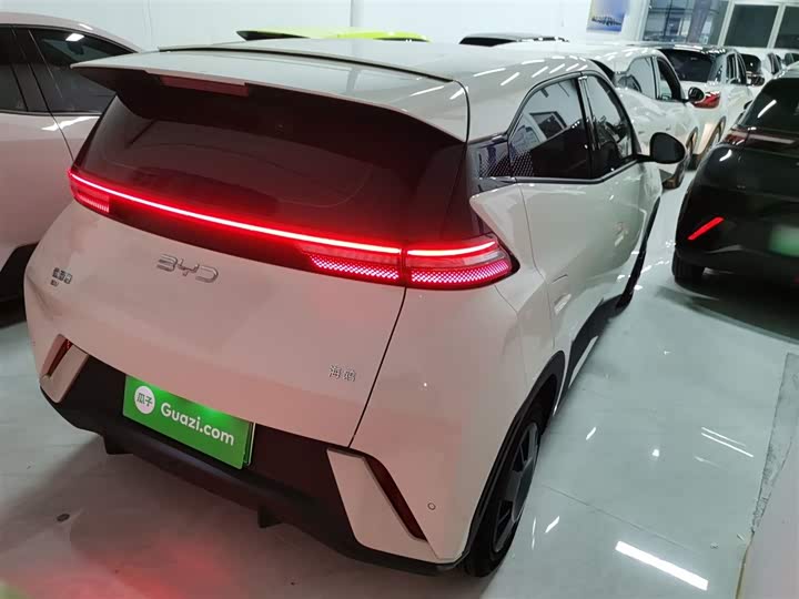 Фото 7 - BYD Seagull