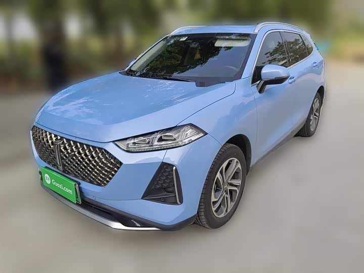 Фото 2 - Wey Macchiato DHT