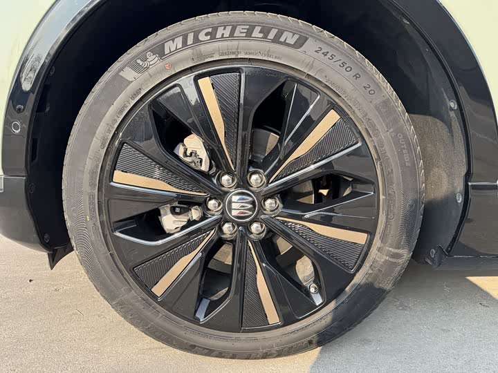 Фото 8 - Buick Electra E4