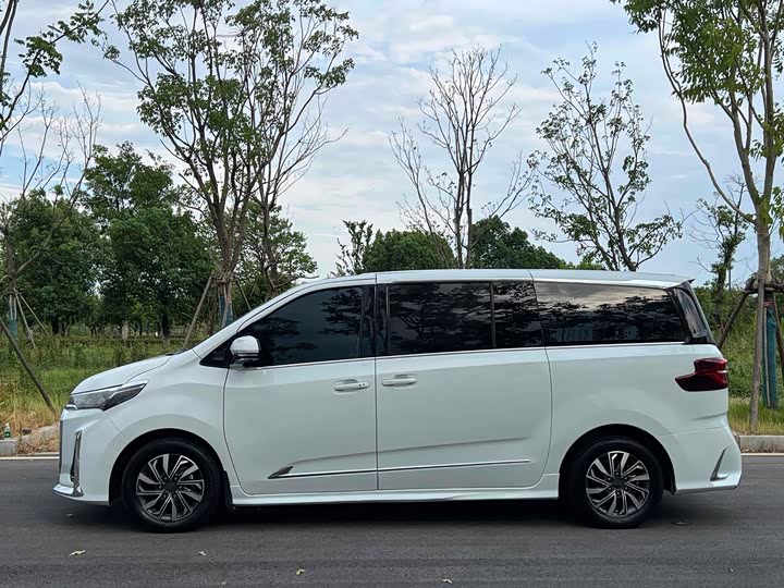 Фото 2 - Maxus G20